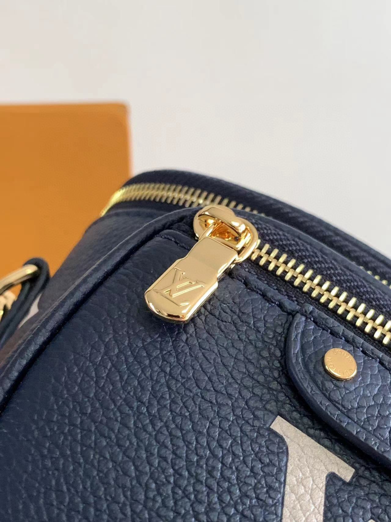 Louis Vuitton Mini Bumbag