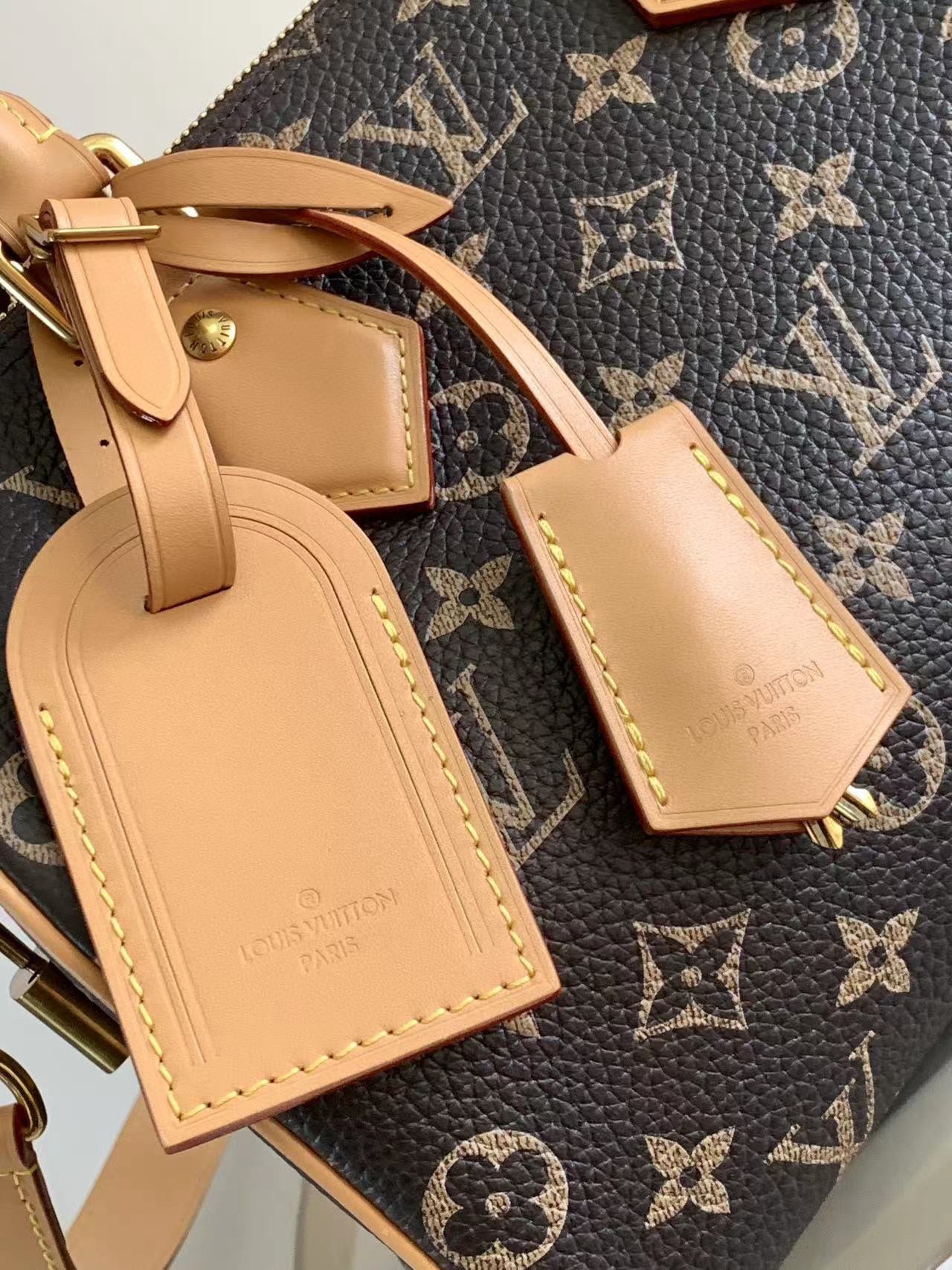 Louis Vuitton Speedy P9 Bandouliere 25