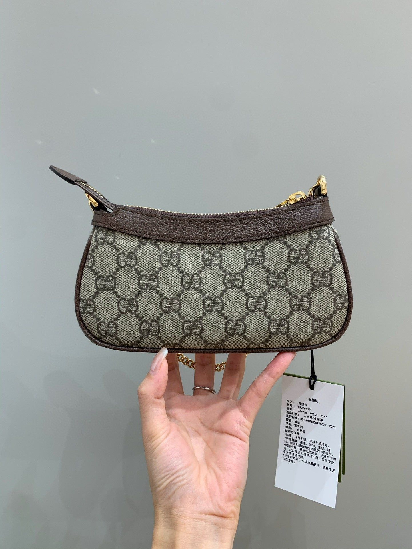 Gg Sac Ophidia Mini Format