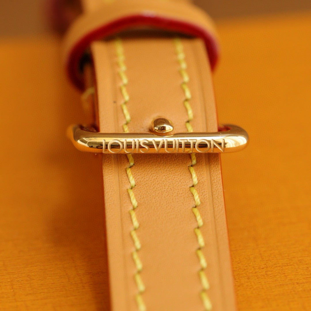 Louis Vuitton Mini Bumbag