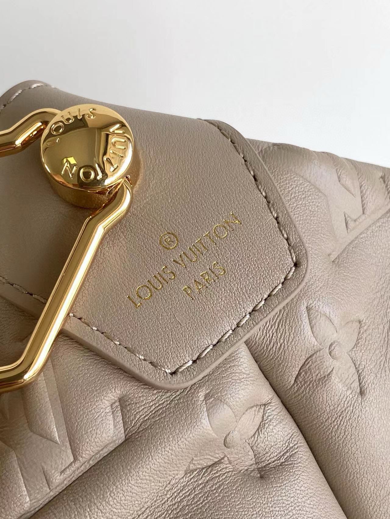 Louis Vuitton Coussin Hobo MM