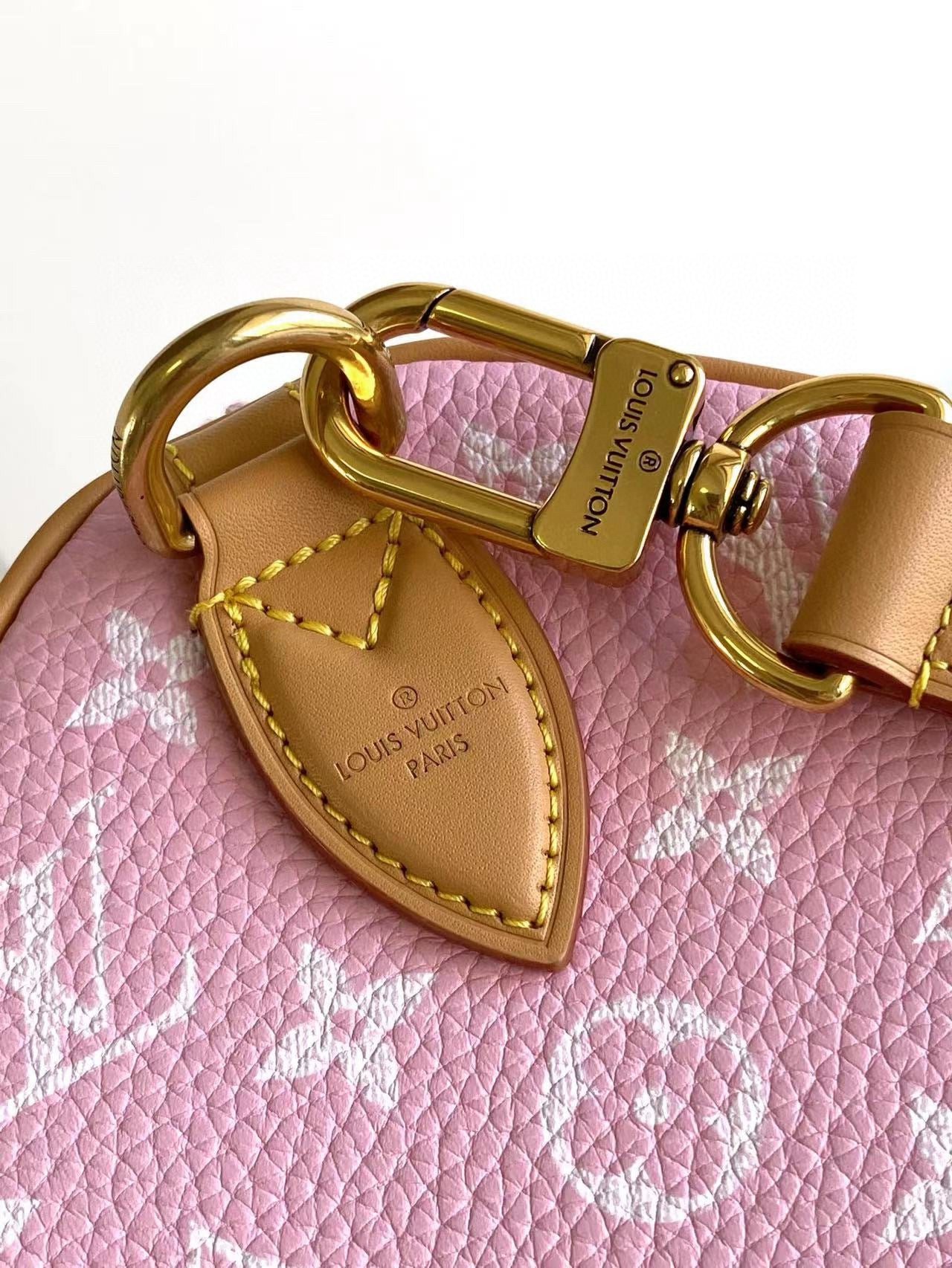 Louis Vuitton Speedy P9 Bandouliere 25
