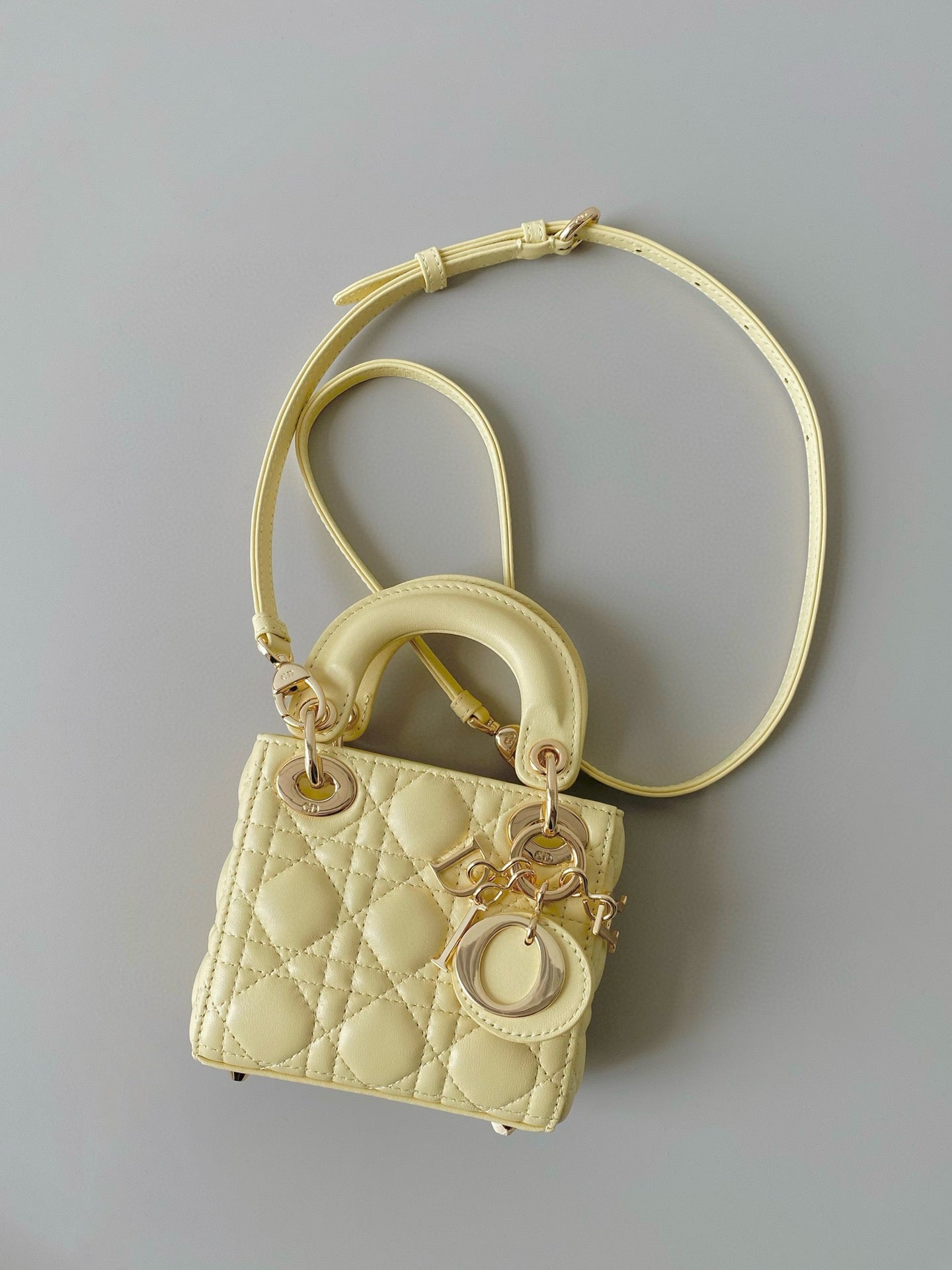 Christian Dior Lady Micro Bag