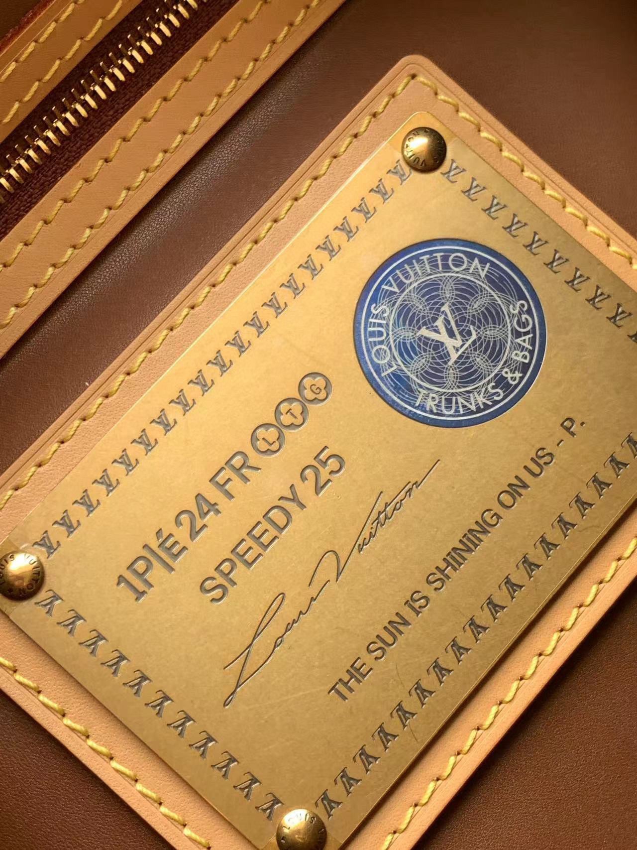 Louis Vuitton Speedy P9 Bandouliere 25