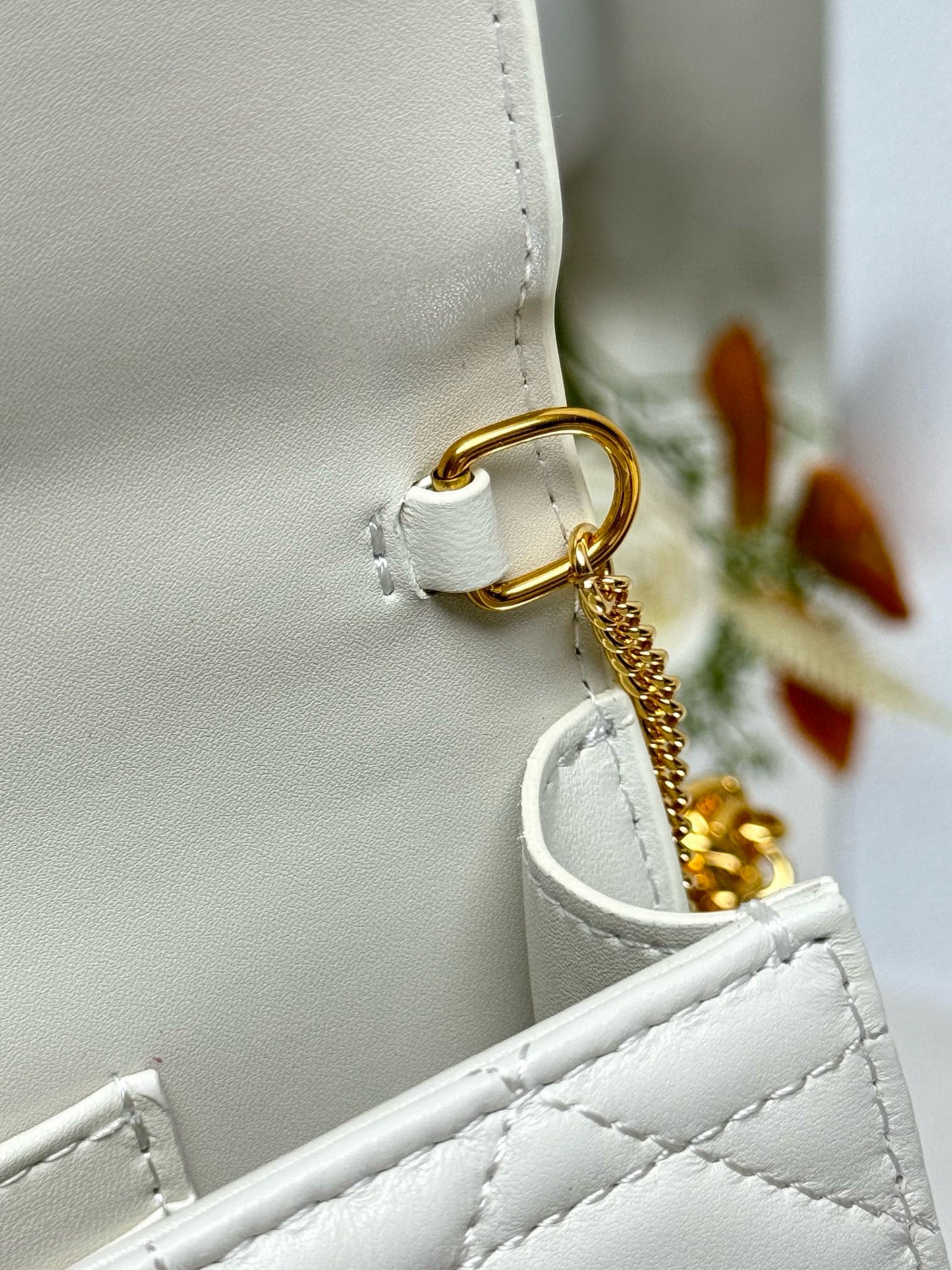 Christian Dior Miss Caro Pouch With Chain