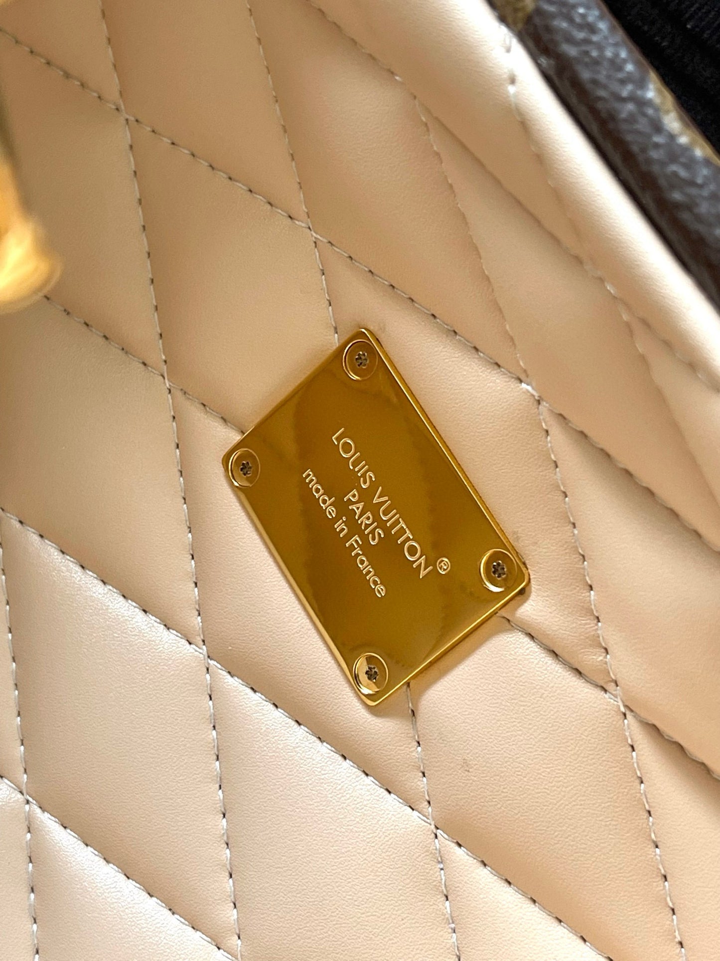 Louis Vuitton Speedy Trunk 20 Monogram