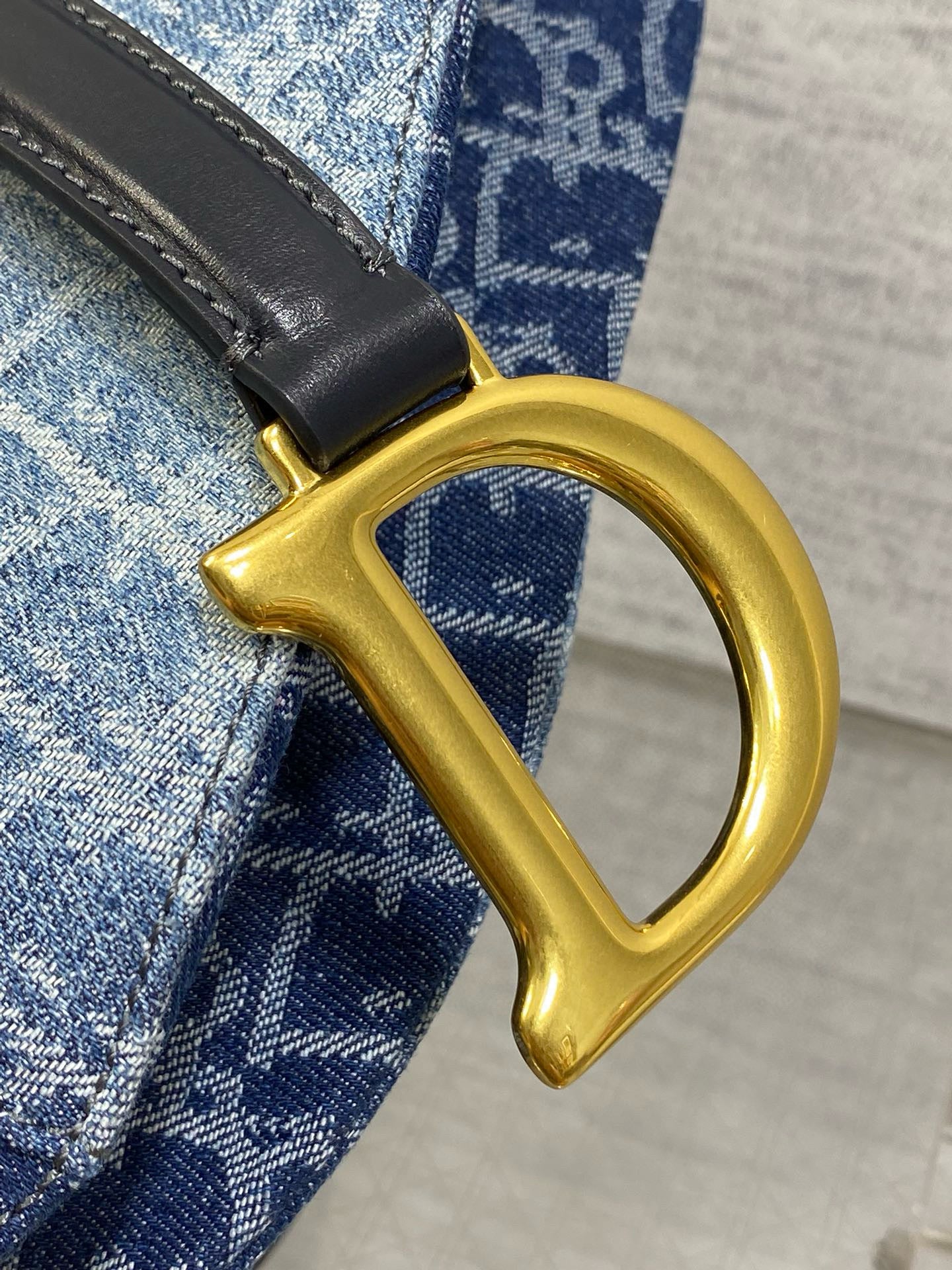 Christian Dior Saddle