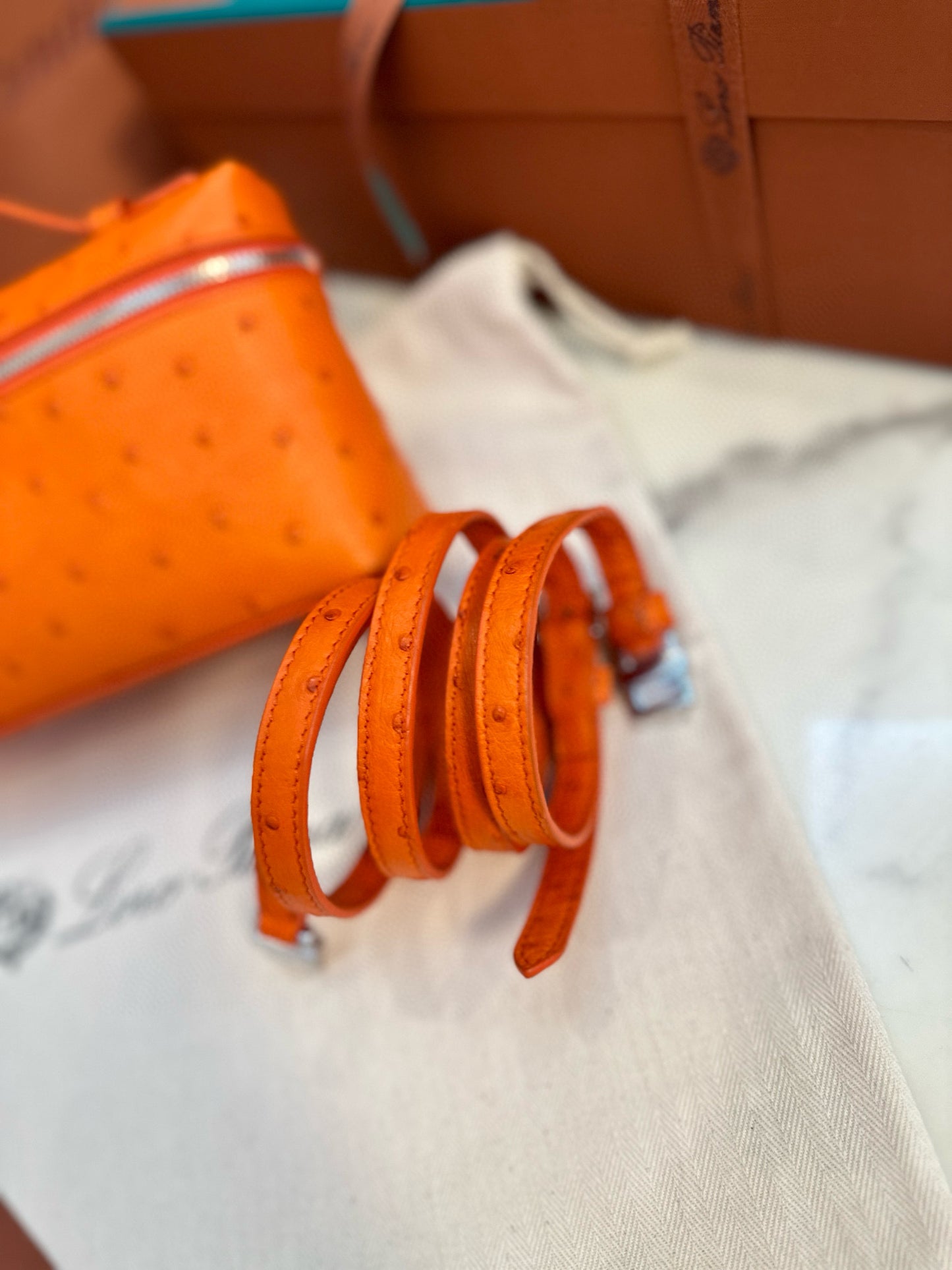 Loro Piana Extra Pocket L19 Ostrich