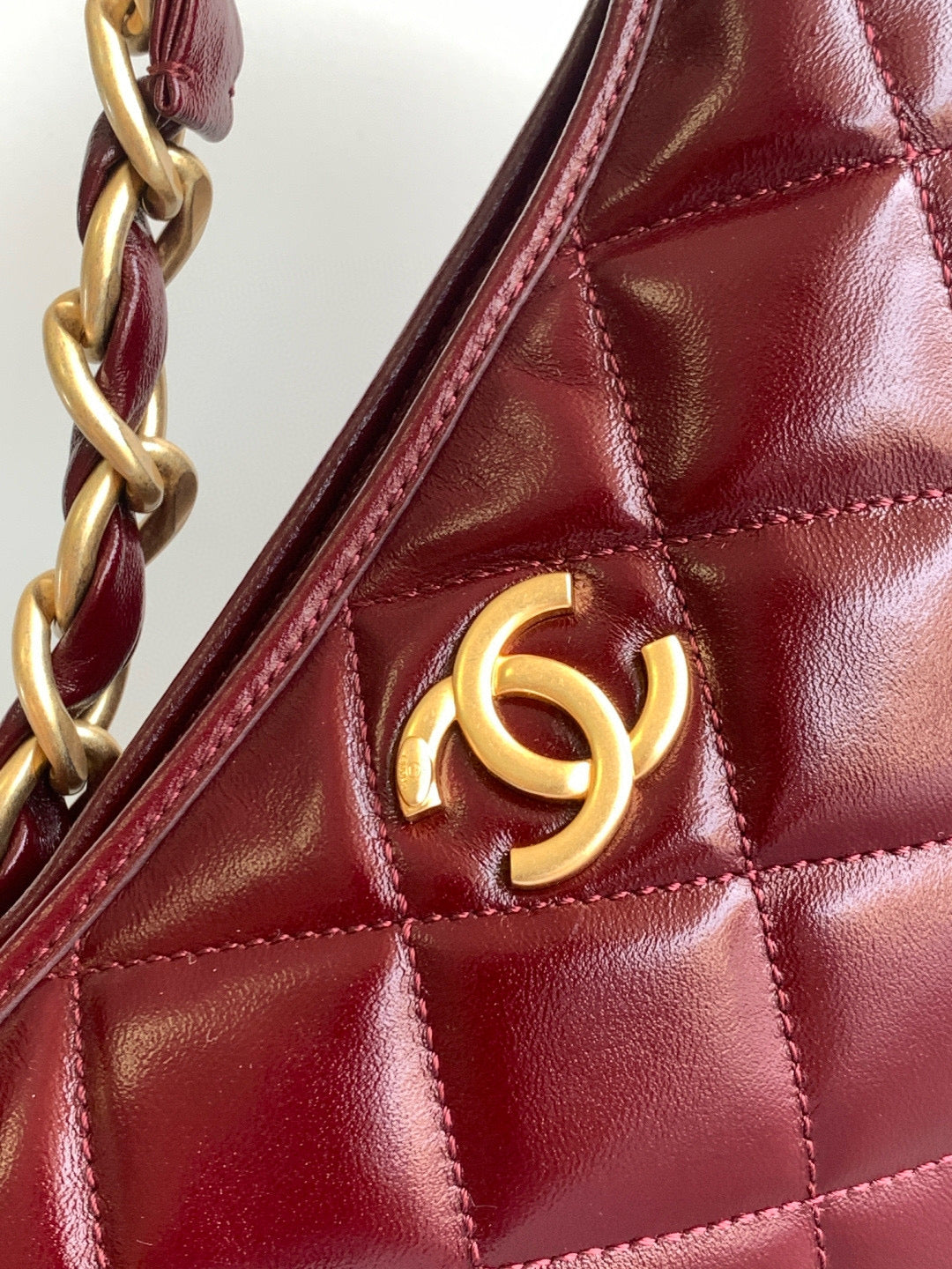 Hobo Bag