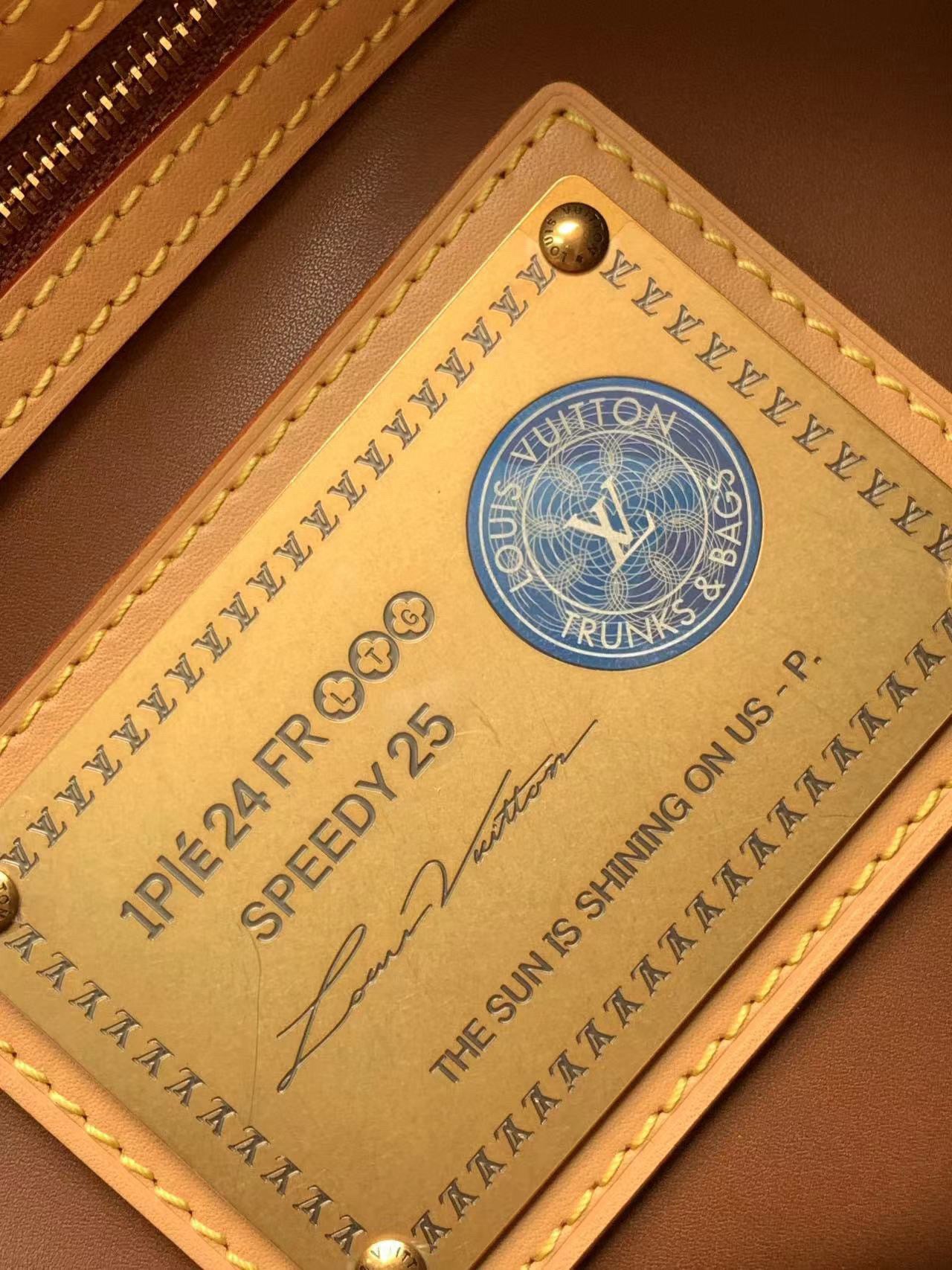 Louis Vuitton Speedy P9 Bandouliere 25