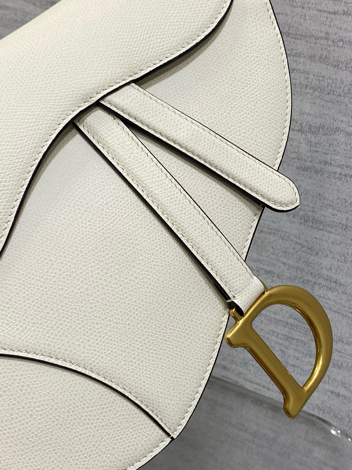 Christian Dior Saddle