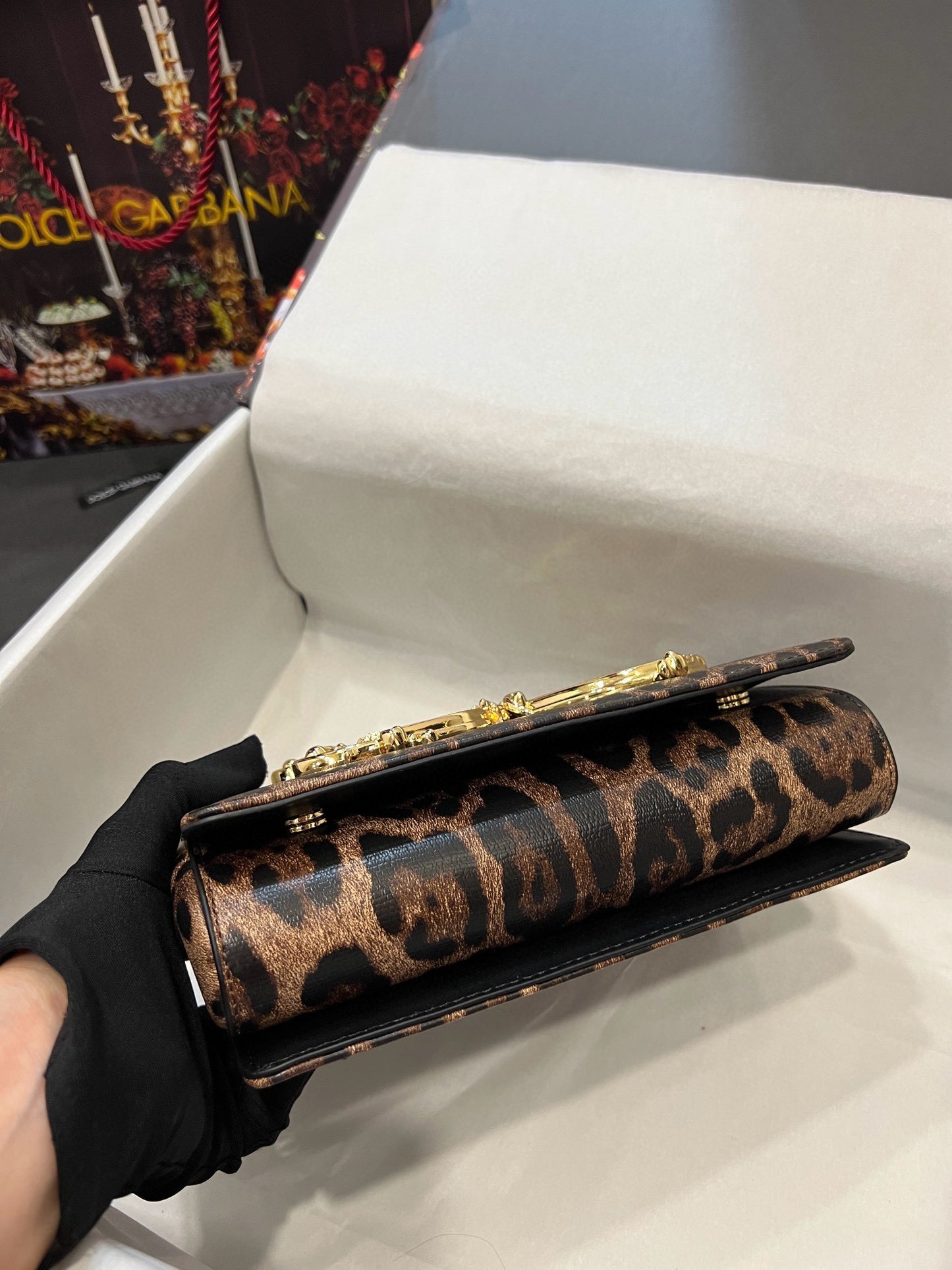 Dolce Gabbana Dg Girls