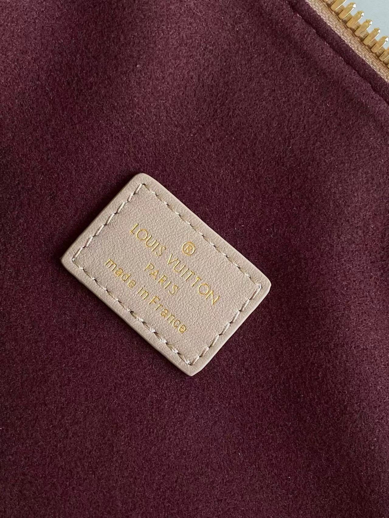 Louis Vuitton Coussin Hobo MM