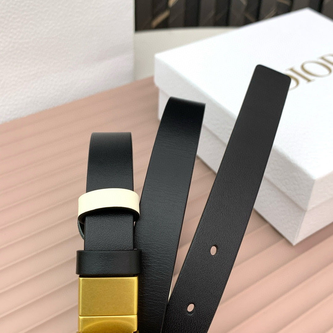 Reversible Saddle Belt