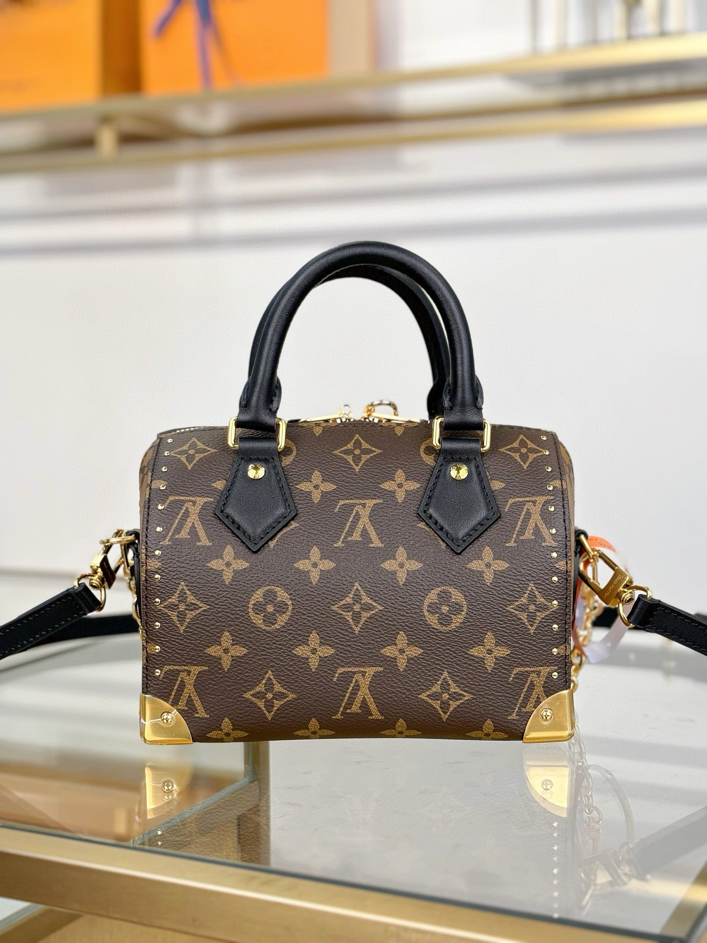 Louis Vuitton Speedy Trunk 20