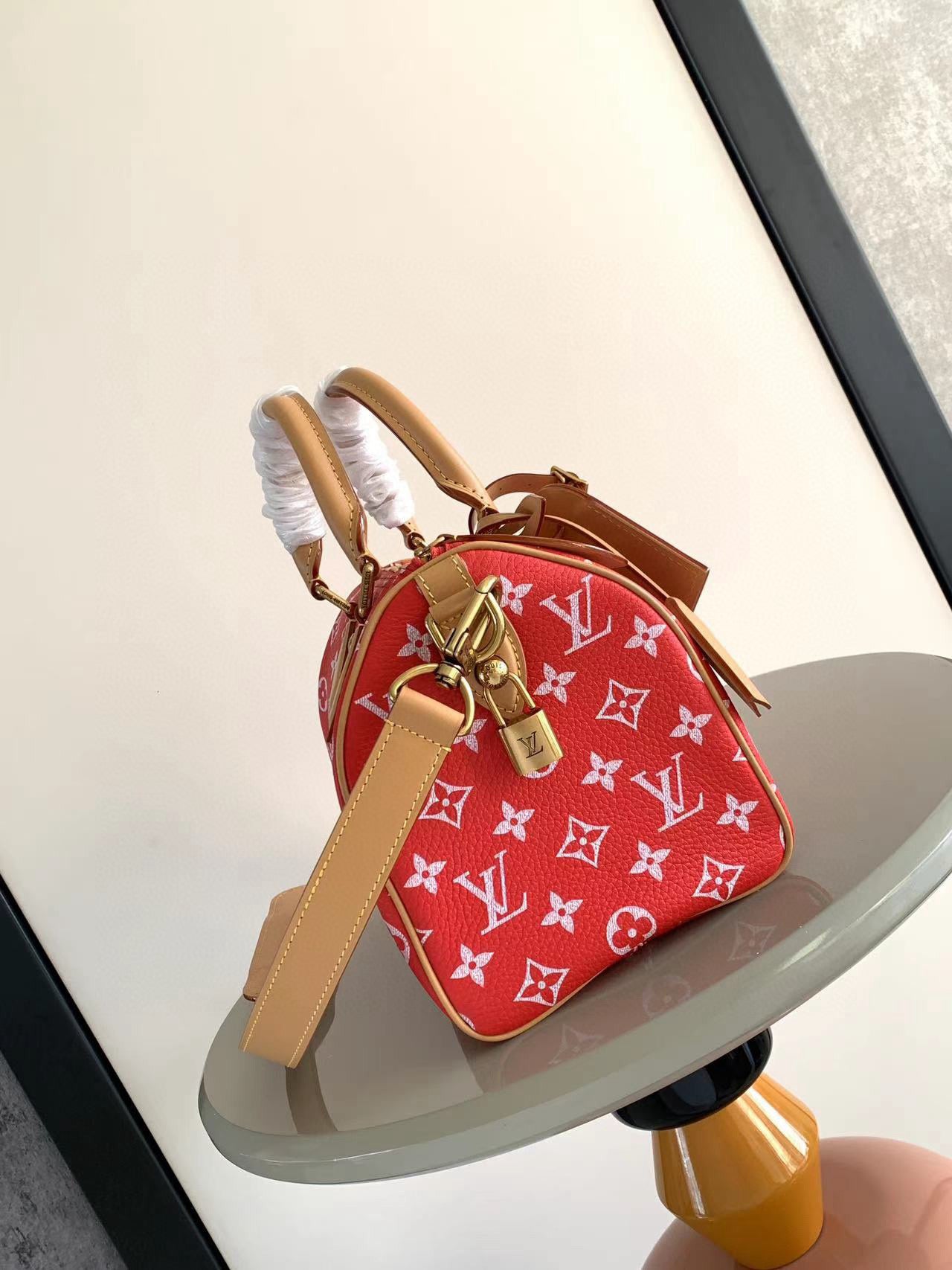 Louis Vuitton Speedy P9 Bandouliere 25